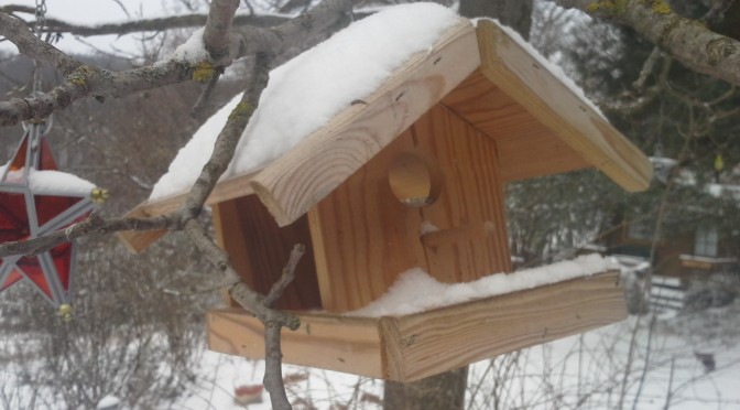 Stunde der Wintervögel